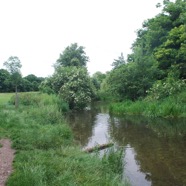 DSC_5991.jpg