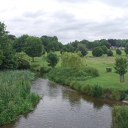 DSC_5994.jpg