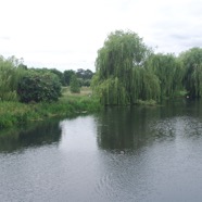 DSC_5996.jpg