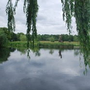 DSC_5998.jpg