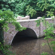 DSC_6004.jpg