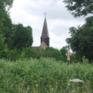 DSC_6005.jpg