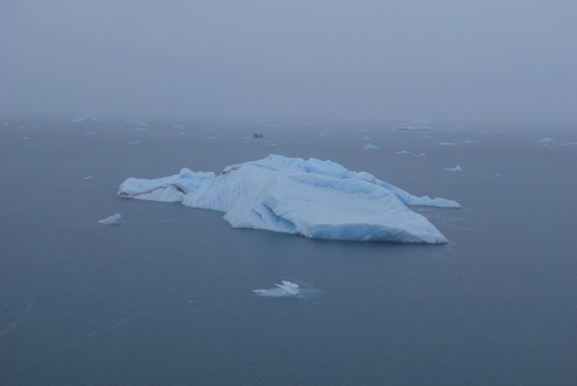 Icy Bay