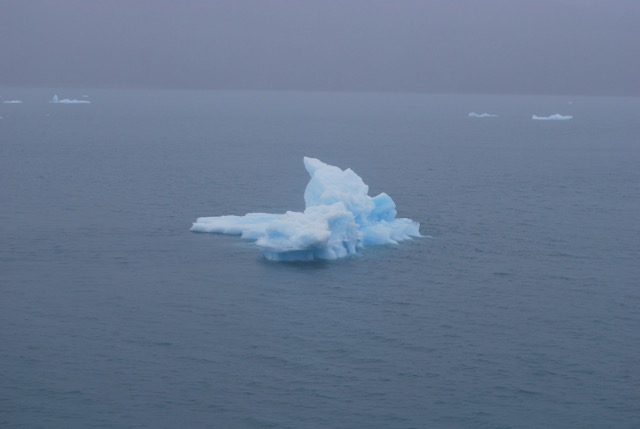 Icy Bay