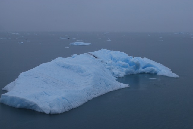 Icy Bay