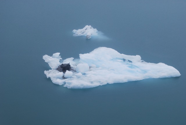 Icy Bay