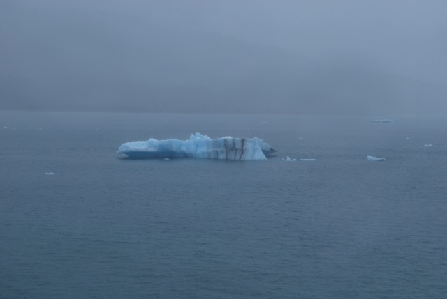 Icy Bay