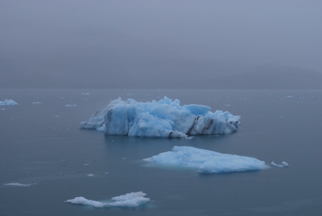 Icy Bay