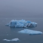7749B1F8-40B5-4B45-A3A9-CF444701610B.jpeg