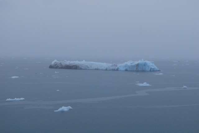Icy Bay