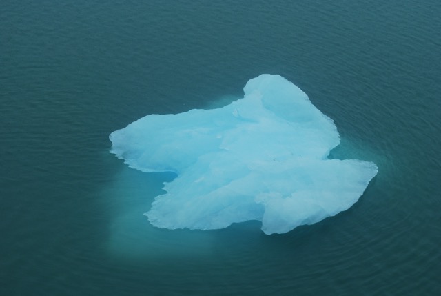 Icy Bay