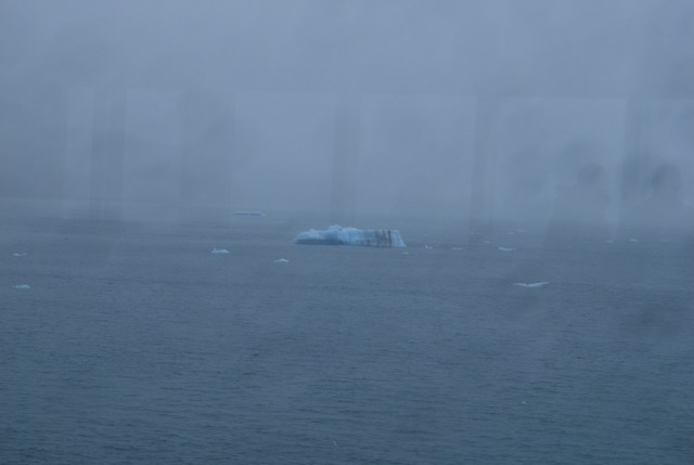 Icy Bay