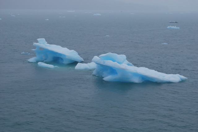 Icy Bay
