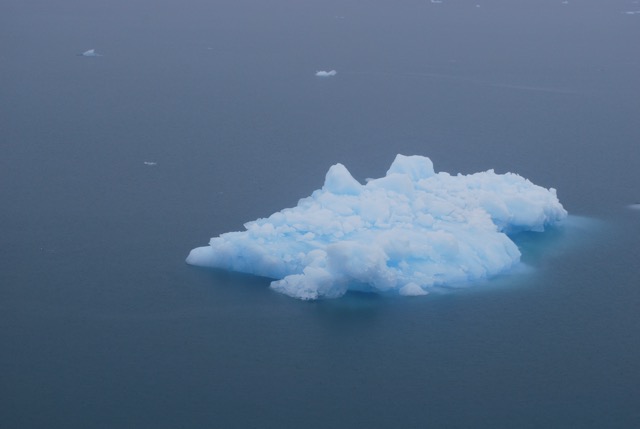 Icy Bay