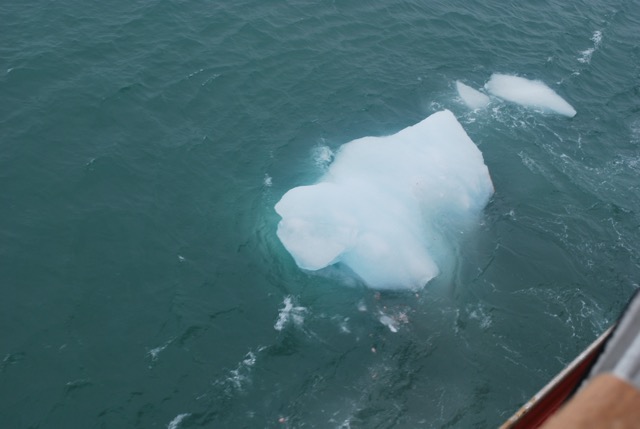 Icy Bay