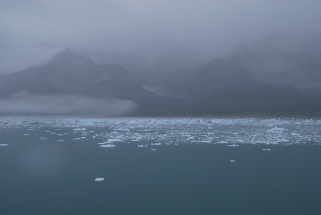 Icy Bay
