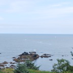 D5651FBF-EFBE-454F-AC22-68D4DFF3C4D6.jpeg