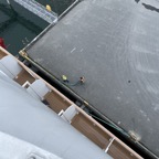 635F44E4-C387-4F6C-B5F9-965AE164F38F.jpeg