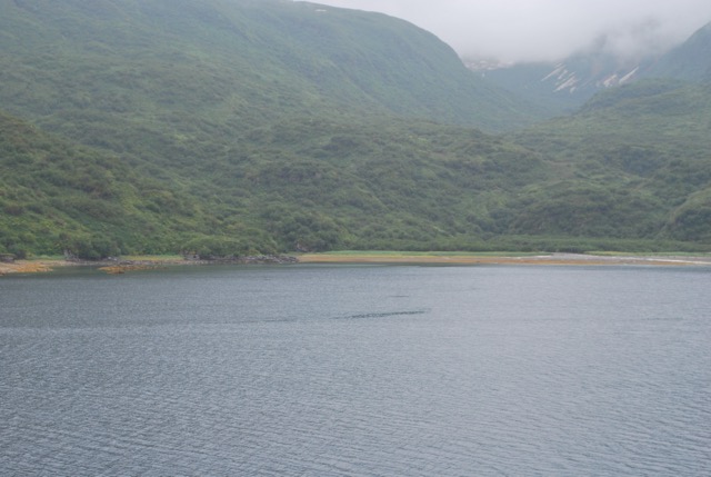 Kinak Bay