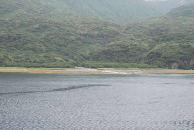 Kinak Bay