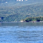 50D425ED-4CBC-446F-B2BD-7B89AF23B30B_1_201_a.jpeg