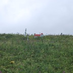 65651C71-8FE6-465B-9AE9-A985E436AB31.jpeg