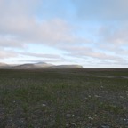 58E6557C-1EF7-4799-BA63-F429C36C1C4C.jpeg