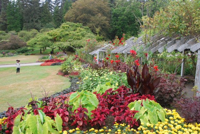 The rose garden