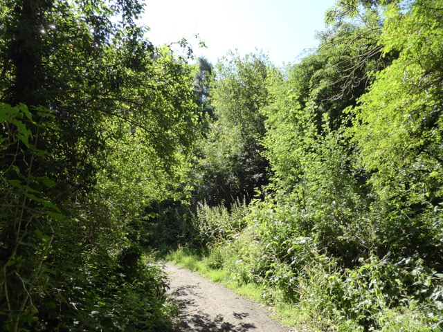 1.8.,2014 Section 4