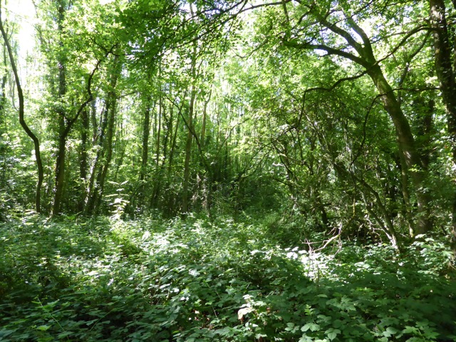 1.8.,2014 Section 4