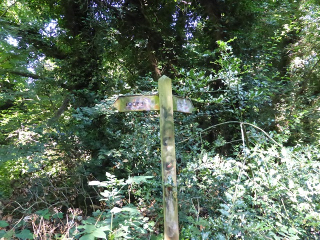 1.8.,2014 Section 4