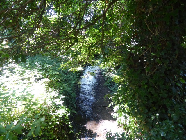 1.8.,2014 Section 4