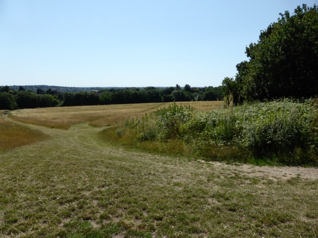 1.8.,2014 Section 4