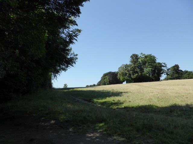 1.8.,2014 Section 4