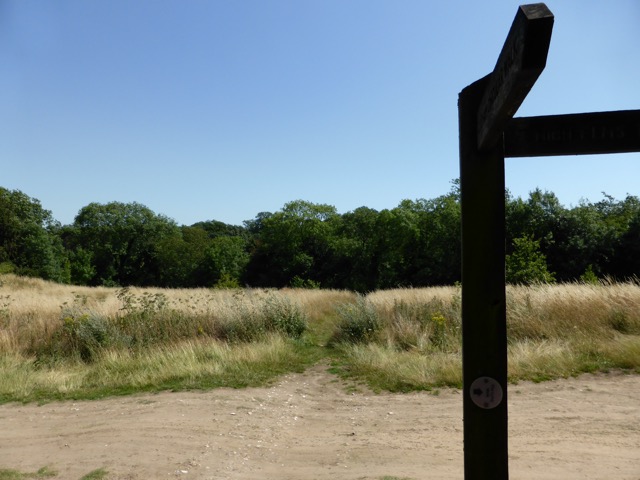 1.8.,2014 Section 4