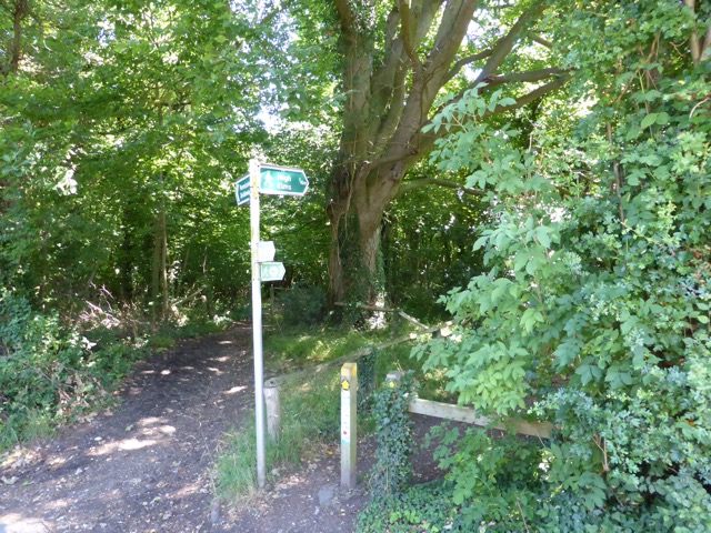 1.8.,2014 Section 4