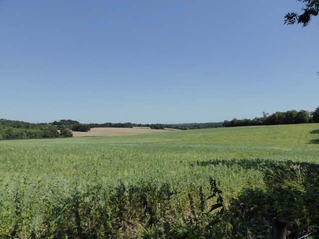 1.8.,2014 Section 4