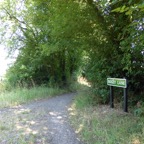P1000059.jpg