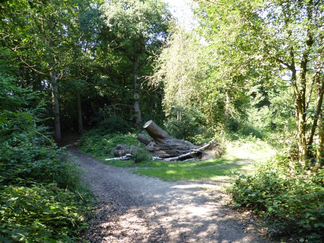 1.8.,2014 Section 4