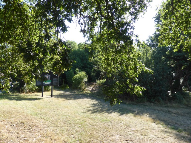 20.8.2013 Section 5