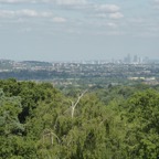 P1000281.jpg