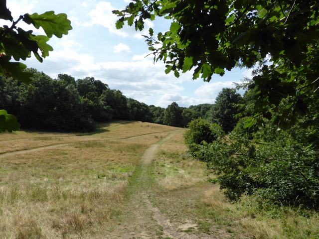 20.8.2013 Section 5