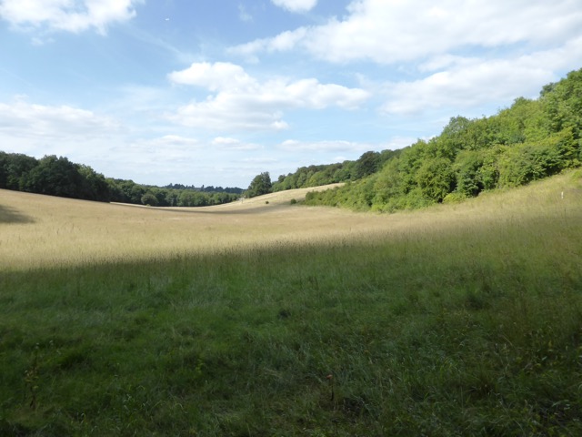 20.8.2013 Section 5