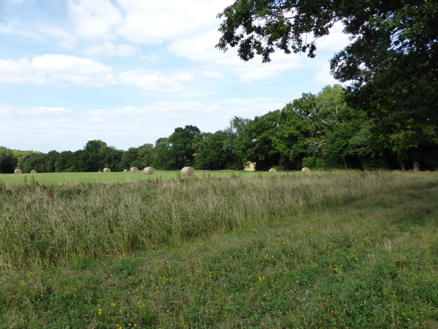 20.8.2013 Section 5